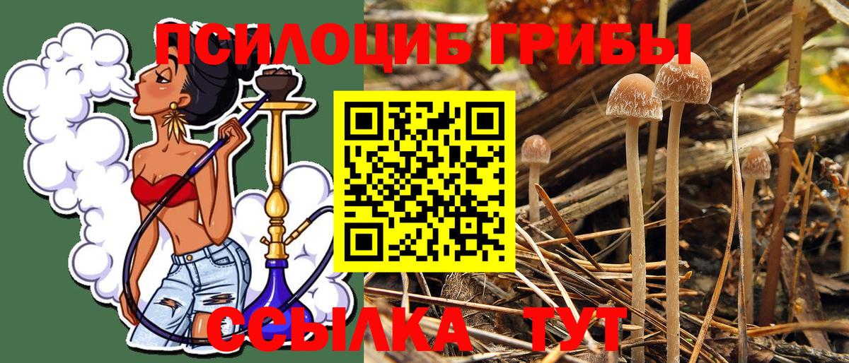 Псилоцибиновые грибы MAGIC MUSHROOMS  Вход с VPN  Трёхгорный 