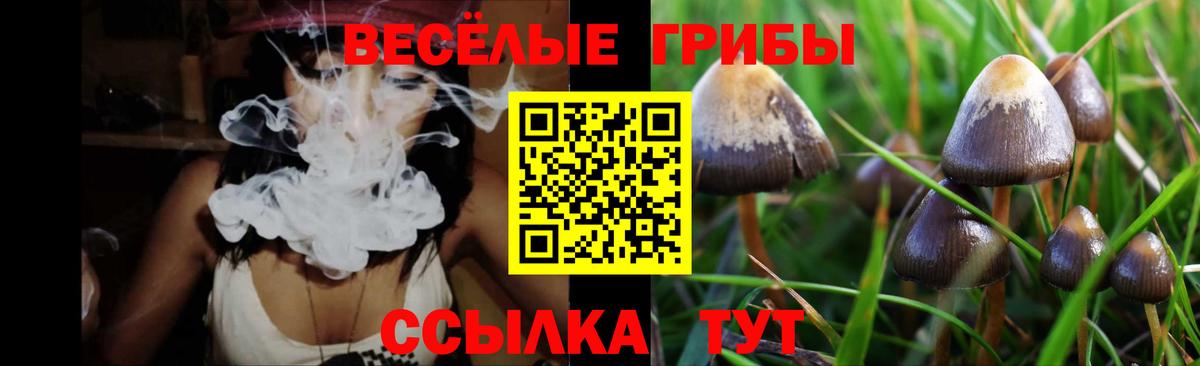 Псилоцибиновые грибы Magic Shrooms Трёхгорный